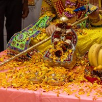 Daily Darshan